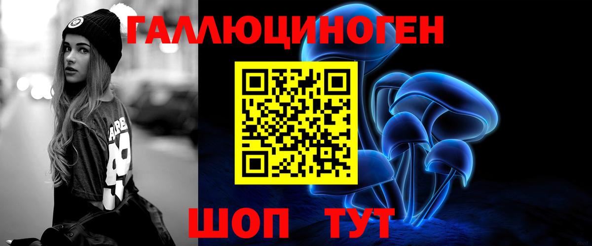 Псилоцибиновые грибы Psilocybe Дзержинск
