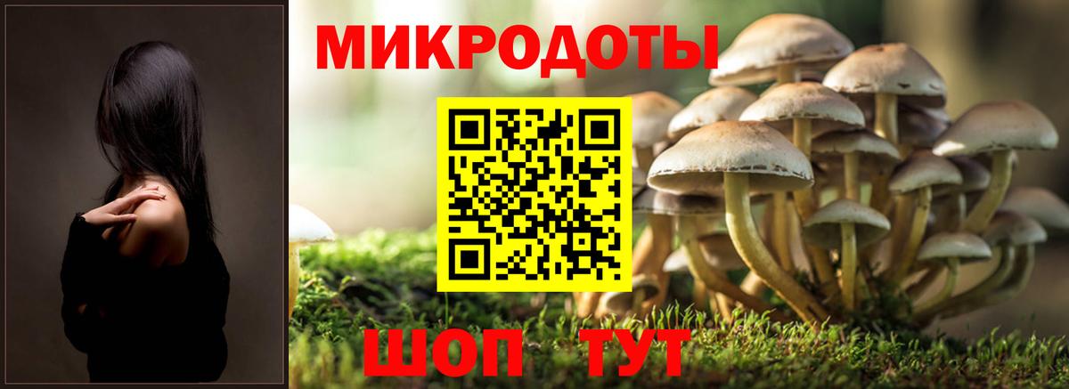 Галлюциногенные грибы Psilocybe  Вход с VPN  Дзержинск  Псилоцибиновые грибы Psilocybine cubensis 